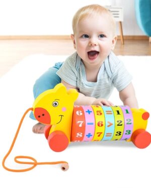 Montessori Math Trolley: Premium Educational Arithmetic Roller Block Toy for Kids