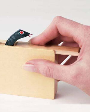 Wooden Snake in a Box Prank Toy
