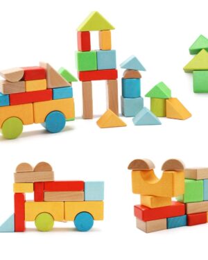 Wooden 50 Piece Colorful Building Blocks Set – Montessori Educational Toy for Toddlers – CraftDeals.in